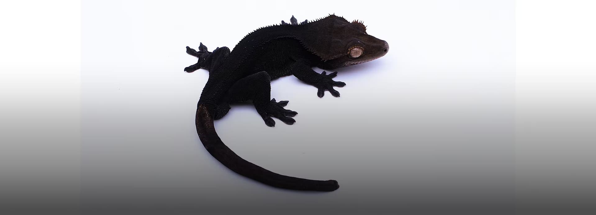 깊이 있는 색감으로 드러내다
도시감각